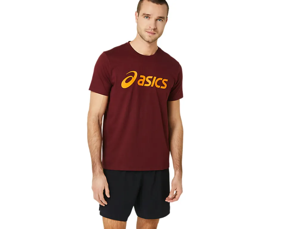 Heren ASICS Shirts Met Korte Mouwen* Big Logo Tee