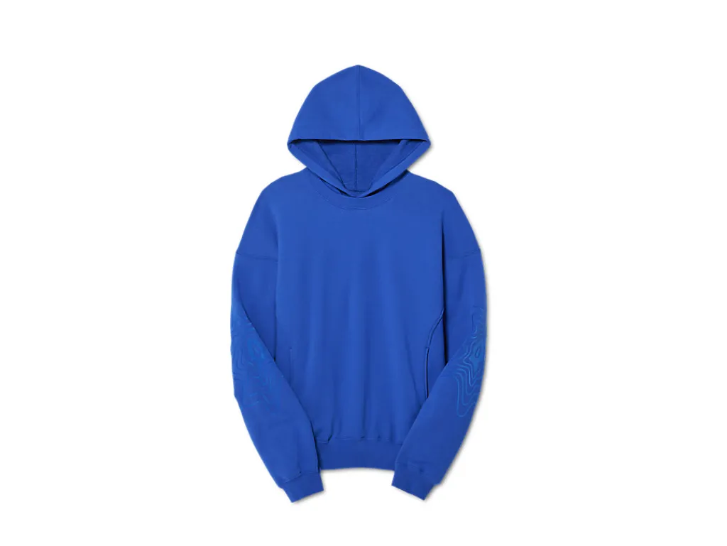 Heren ASICS Hoodies En Sweatshirts*Bixance Hoodie