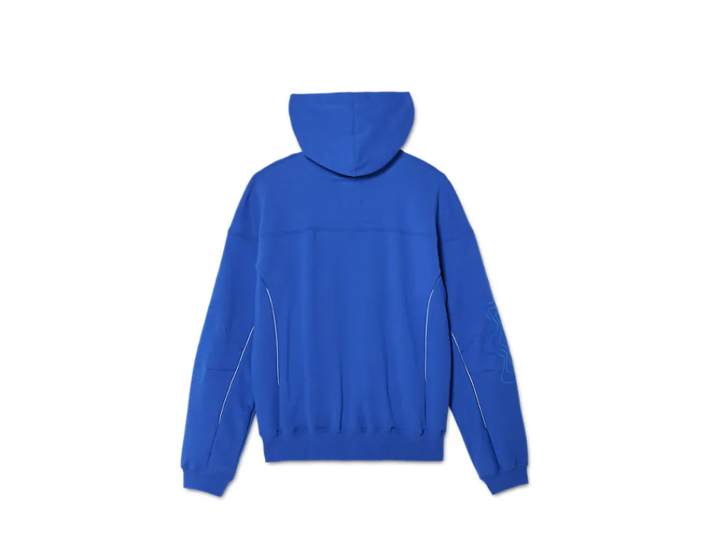 Heren ASICS Hoodies En Sweatshirts*Bixance Hoodie