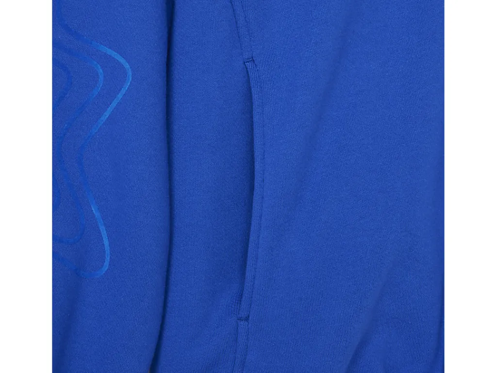 bixance_hoodie_2-1.webp Heren ASICS Hoodies En Sweatshirts*Bixance Hoodie