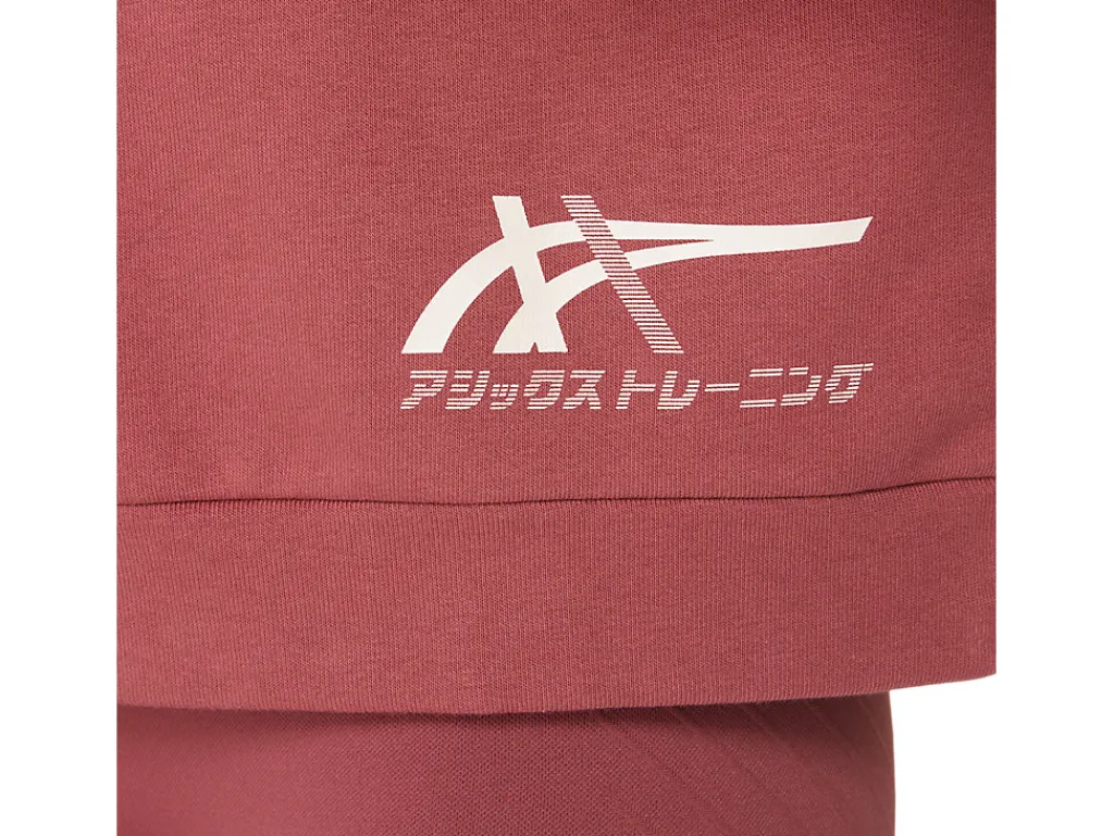 tiger_sweatshirt_4.webp Missen ASICS Shirts Met Lange Mouwen*Tiger Sweatshirt